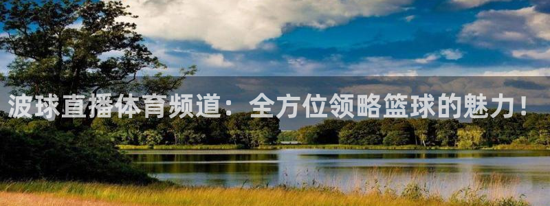 雨燕足球比赛直播app：波球直播体育频道：全方位领略篮球的魅力！