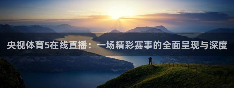 nba雨燕直播免费观看直播软件：央视体育5在线直播：一场精彩赛事的全面呈现与深度