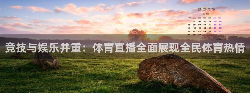 nba在线直播雨燕：竞技与娱乐并重：体育直播全面展现全民体育热情
