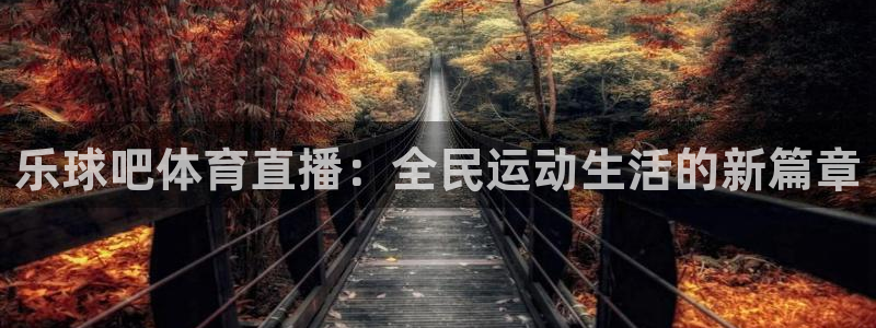 雨燕 24网nba直播 体育 免费：乐球吧体育直播：全民运动生活的新篇章