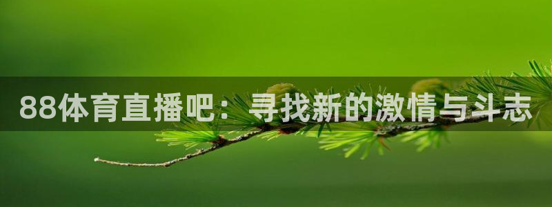 cc雨燕直播体育平台：88体育直播吧：寻找新的激情与斗志
