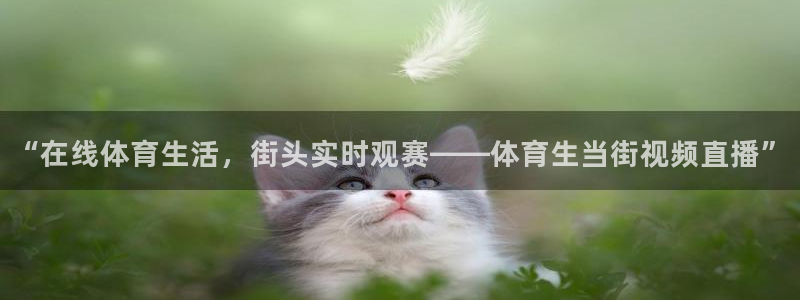 雨燕360体育直播足球：“在线体育生活，街头实时观赛——体育生当街视频直播”