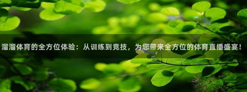 雨燕直播球赛：溜溜体育的全方位体验：从训练到竞技，为您带来全方位的体育直播盛宴！