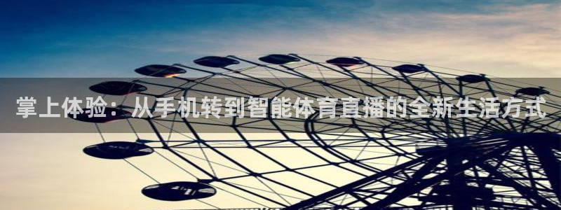 360雨燕直播nba：掌上体验：从手机转到智能体育直播的全新生活方式