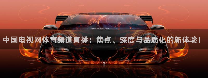 雨燕直播nba：中国电视网体育频道直播：焦点、深度与品质化的新体验！