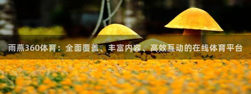 360足球网雨燕直播：雨燕360体育：全面覆盖、丰富内容、高效互动的在线体育平台