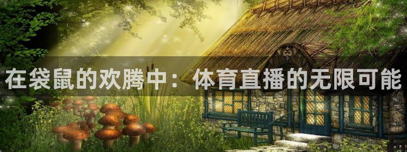 雨燕体育直播高清nba：在袋鼠的欢腾中：体育直播的无限可能