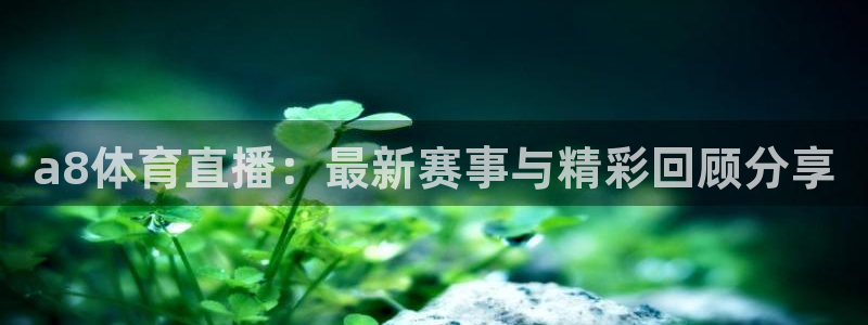 雨燕360体育直播nba免费入口：a8体育直播：最新赛事与精彩回顾分享