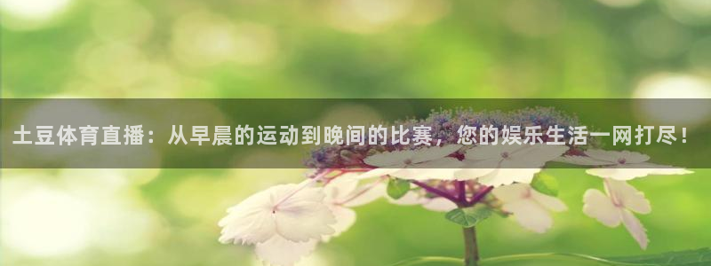 雨燕篮球直播：土豆体育直播：从早晨的运动到晚间的比赛，您的娱乐生活一网打尽！