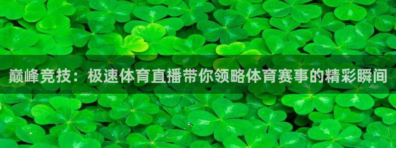 雨燕360体育免费直播cba：巅峰竞技：极速体育直播带你领略体育赛事的精彩瞬间