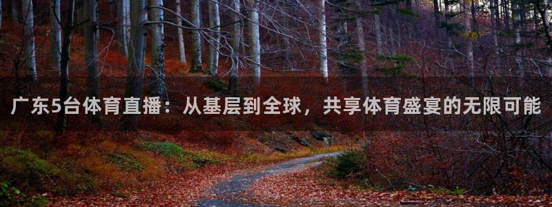 雨燕360体育最新更新内容：广东5台体育直播：从基层到全球，共享体育盛宴的无限可能